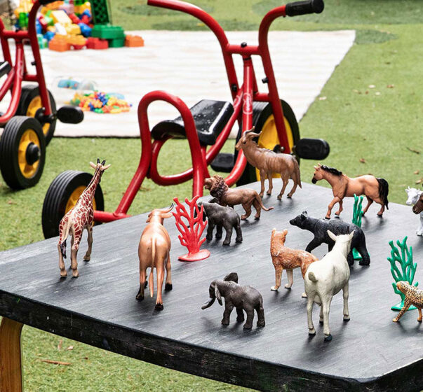 Toy animals on a table in an outdoor play area with tricycles at Naremburn Early Learning Centre