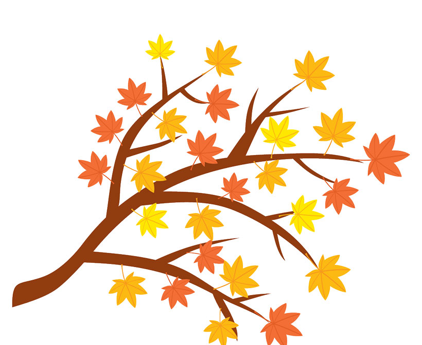 maples